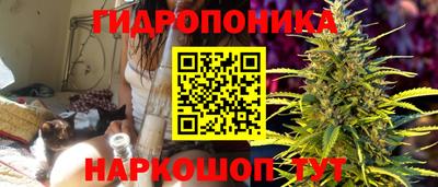 spice Будённовск