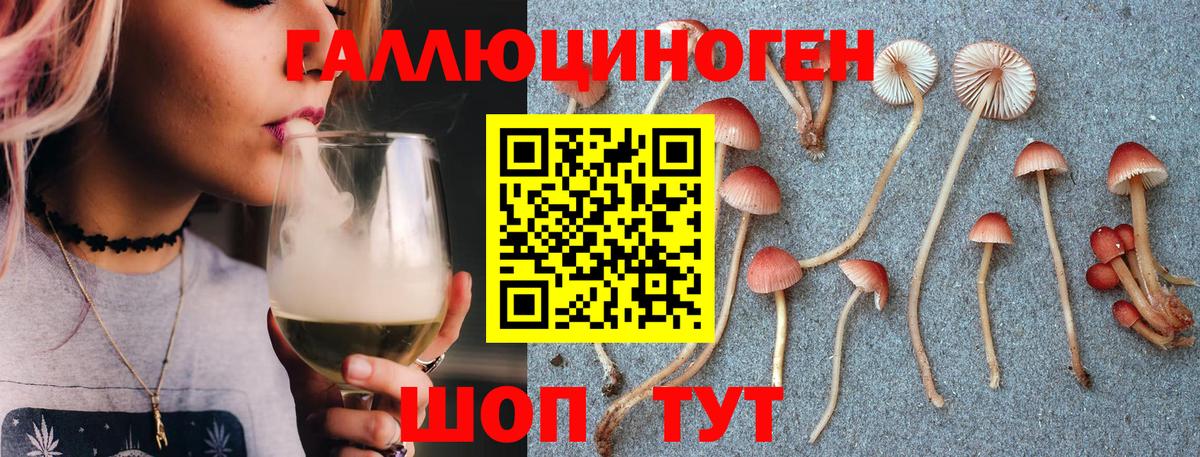 наркотики  Вход с VPN  Махачкала  Псилоцибиновые грибы MAGIC MUSHROOMS 