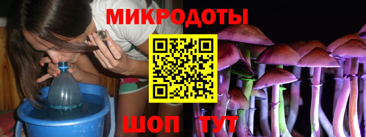 Галлюциногенные грибы мухоморы Махачкала